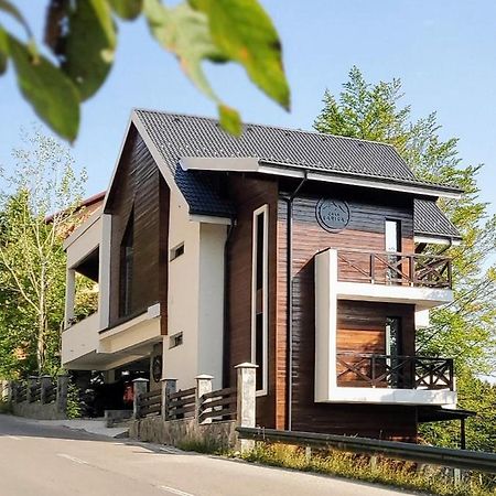 Casa Larisa Antonia Apartments Sinaia Exteriör bild
