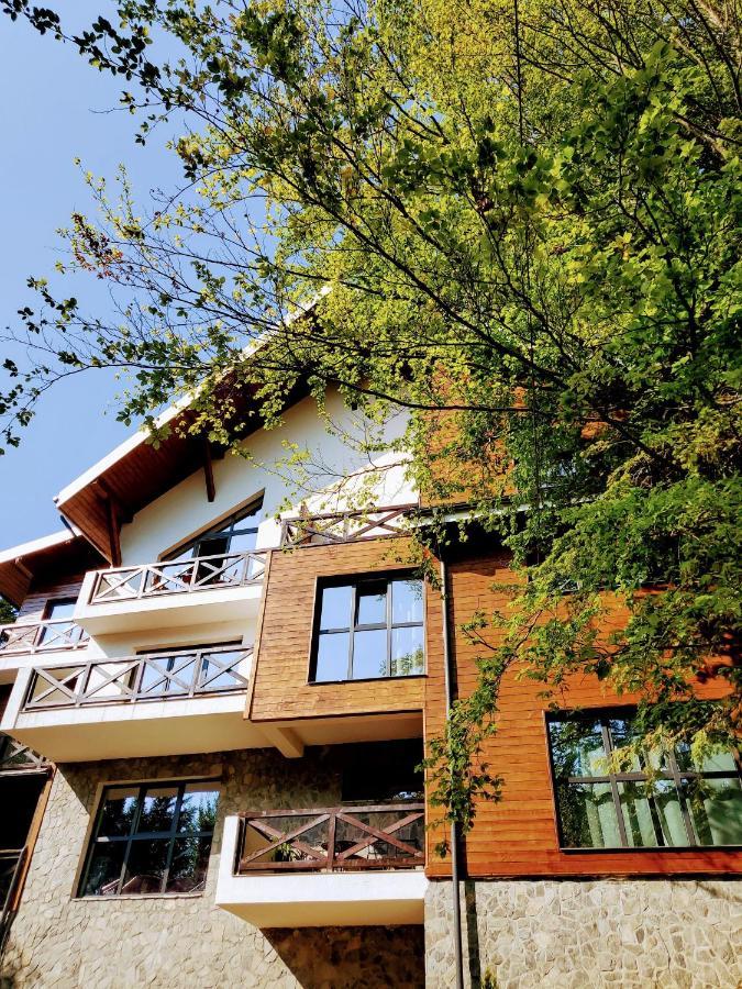 Casa Larisa Antonia Apartments Sinaia Exteriör bild