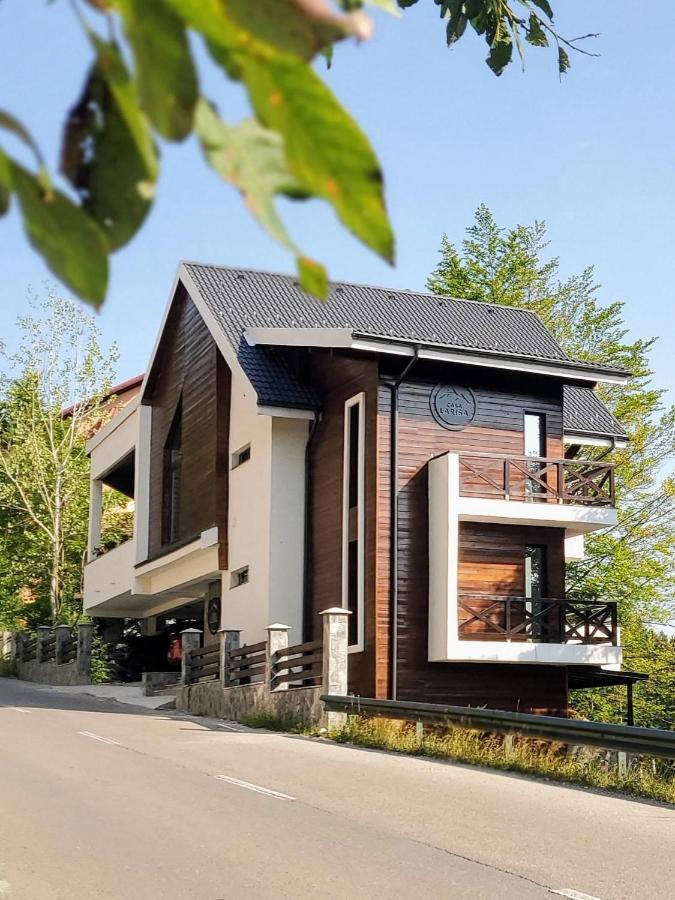 Casa Larisa Antonia Apartments Sinaia Exteriör bild